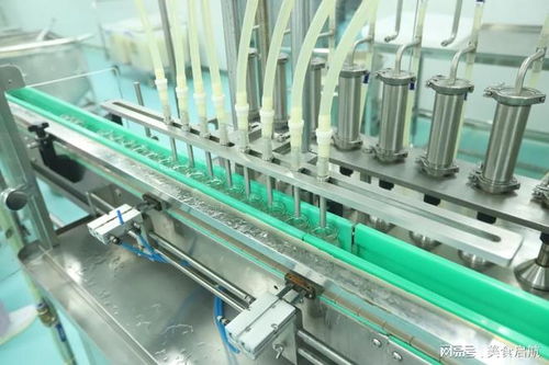 现代燕窝代工厂全流程 从原料到成品的炖煮灭菌之路