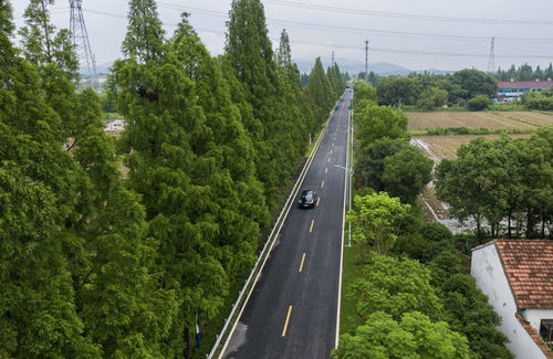 四好农村路 串起乡村振兴的希望纽带
